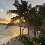 wfg_mexico_3-min
